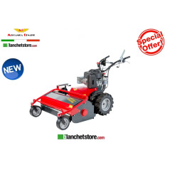 Trinciasarmenti Meccanica Benassi TR 900 IDRO B&S 3125 9.1HP