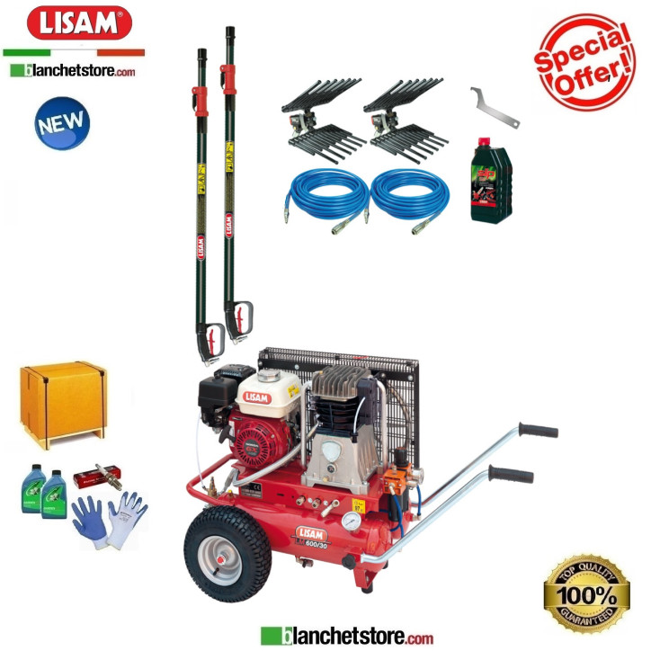 Kit PROFESSIONAL 2 compressore LISAM LM 600/30 Honda GX200 Kit PROFESSIONAL 2 compressore LISAM LM 600/30 Honda GX200