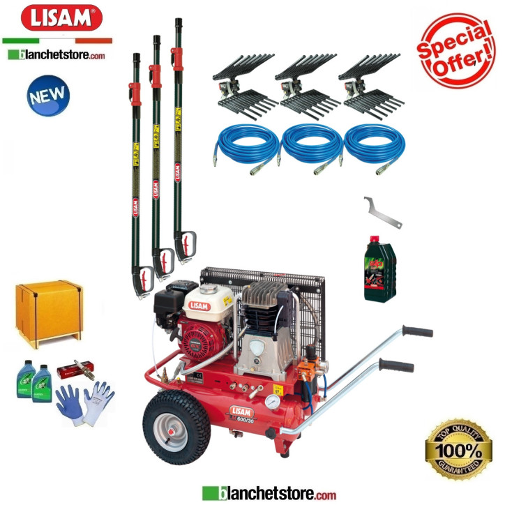 Kit PROFESSIONAL 3 compresseur LISAM LM 600/30 Honda GX200 Kit PROFESSIONAL 3 compresseur LISAM LM 600/30 Honda GX200