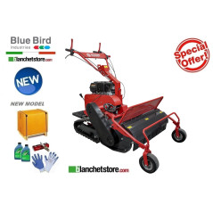 Broyeur à chenilles Bluebird FM 860 Moteur Loncin 420cc Largeur 86cm a marteaux 888320