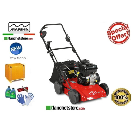 Scarificateur Marina Systems S 390 Brigge & Stratton XR750