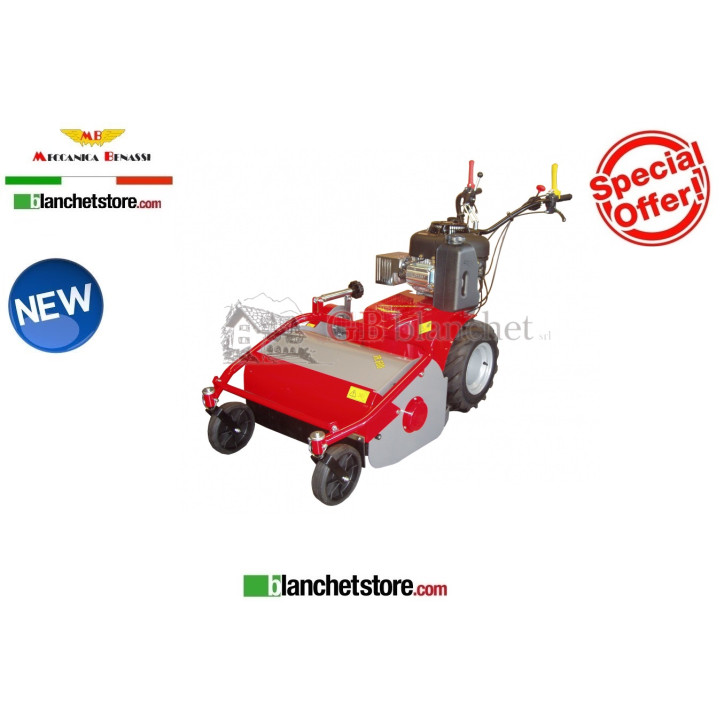 broyeurs a fleaux Meccanica Benassi TR 600 B&S Serie 3105 7,8HP