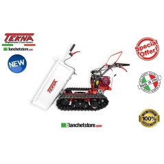 MOTOCARRIOLA TEKNA TT350 AGRI HONDA GX 160 RIB.MANUALE 300KG