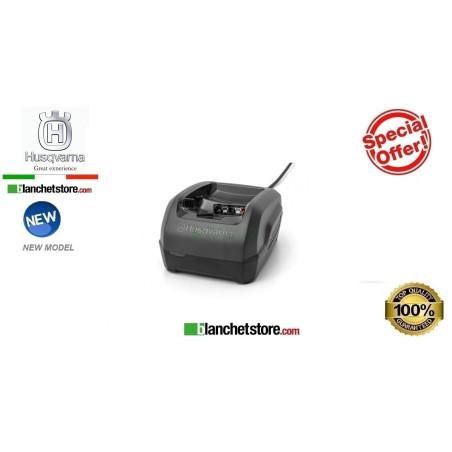 Caricabatteria Husqvarna QC250 new 250Watt 220 Volt