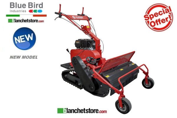 SHREDDER BLUE BIRD