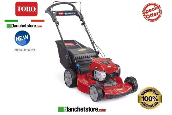 Lawn Moweer Engine