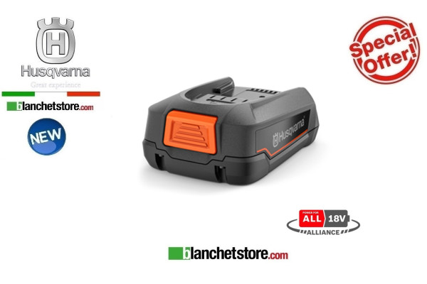 ACCESSOIRES POUR ELAGUEUSE À BATTERIE HUSQVARNA