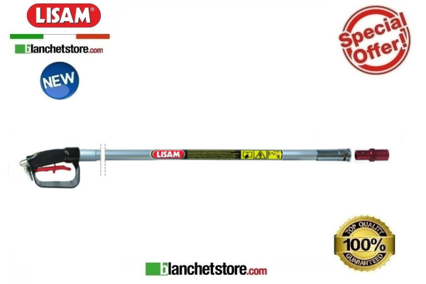 STEMS WITH QUICK-RELEASE ATTACHMENT AND HANDLE LISAM