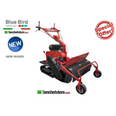 TRINCIASARMENTI BLUE BIRD