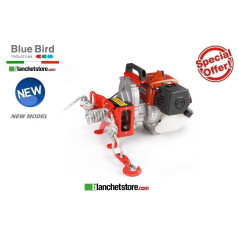 VERRICELLI PORTATILI BLUE BIRD